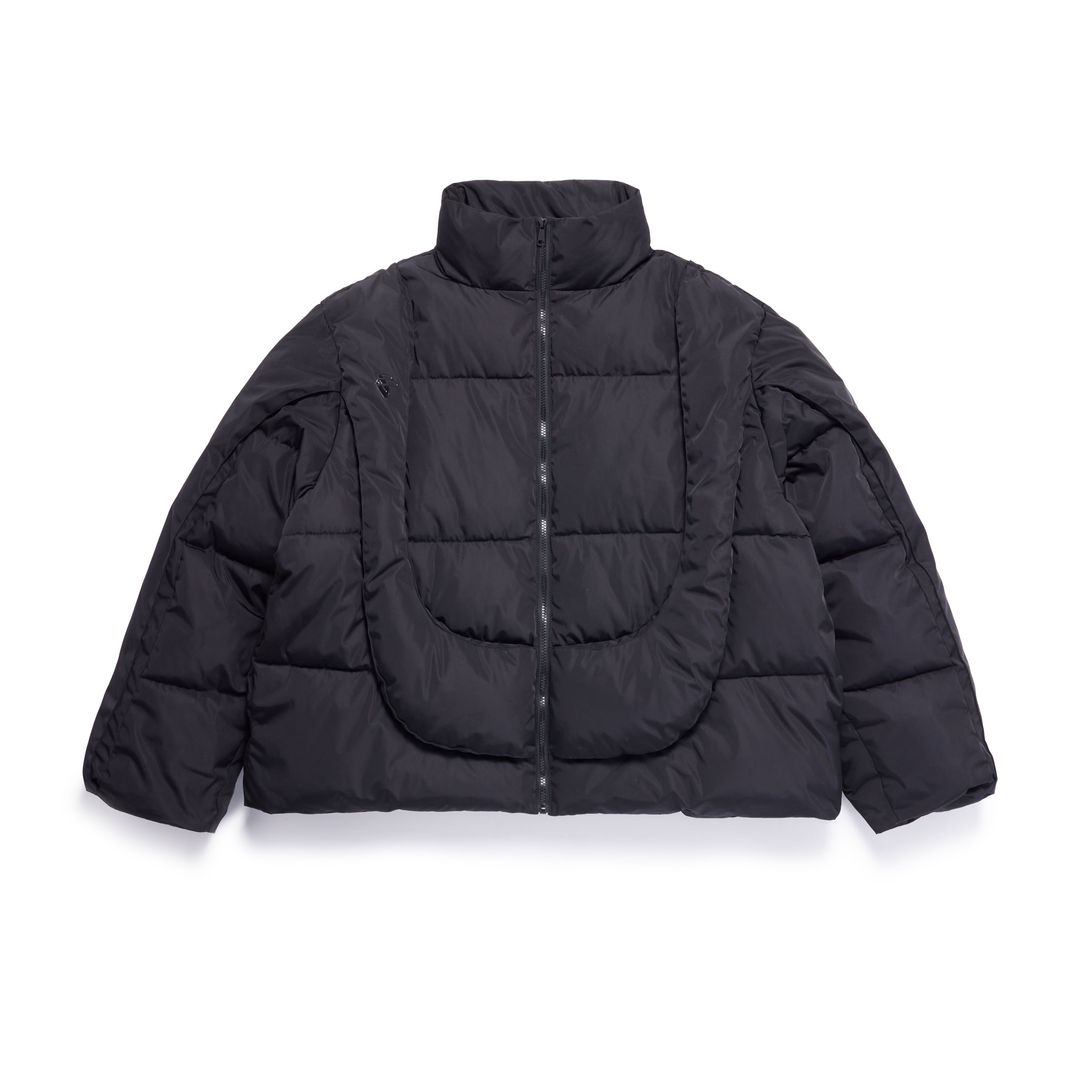 BLACK ACIAN PUFFER