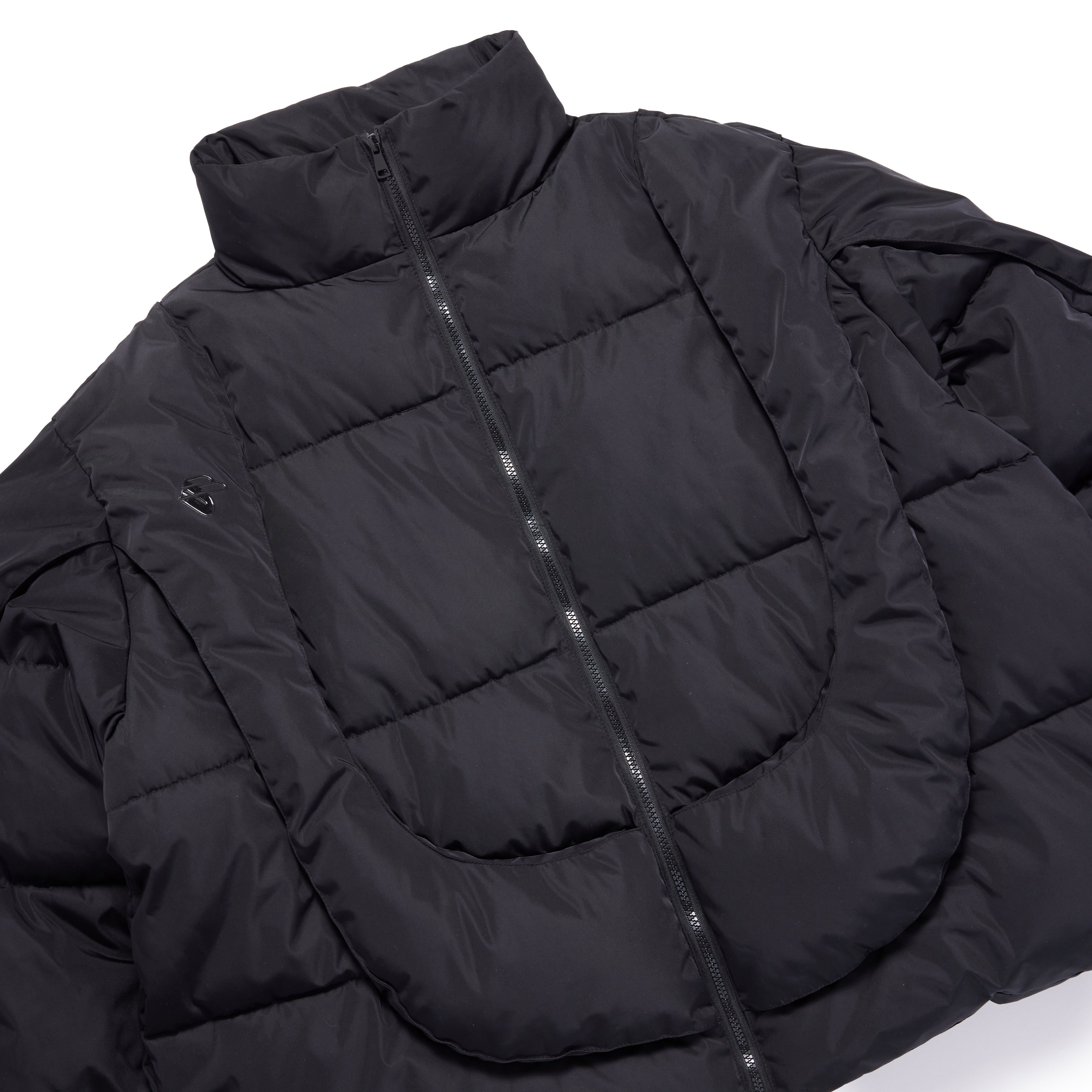 BLACK ACIAN PUFFER
