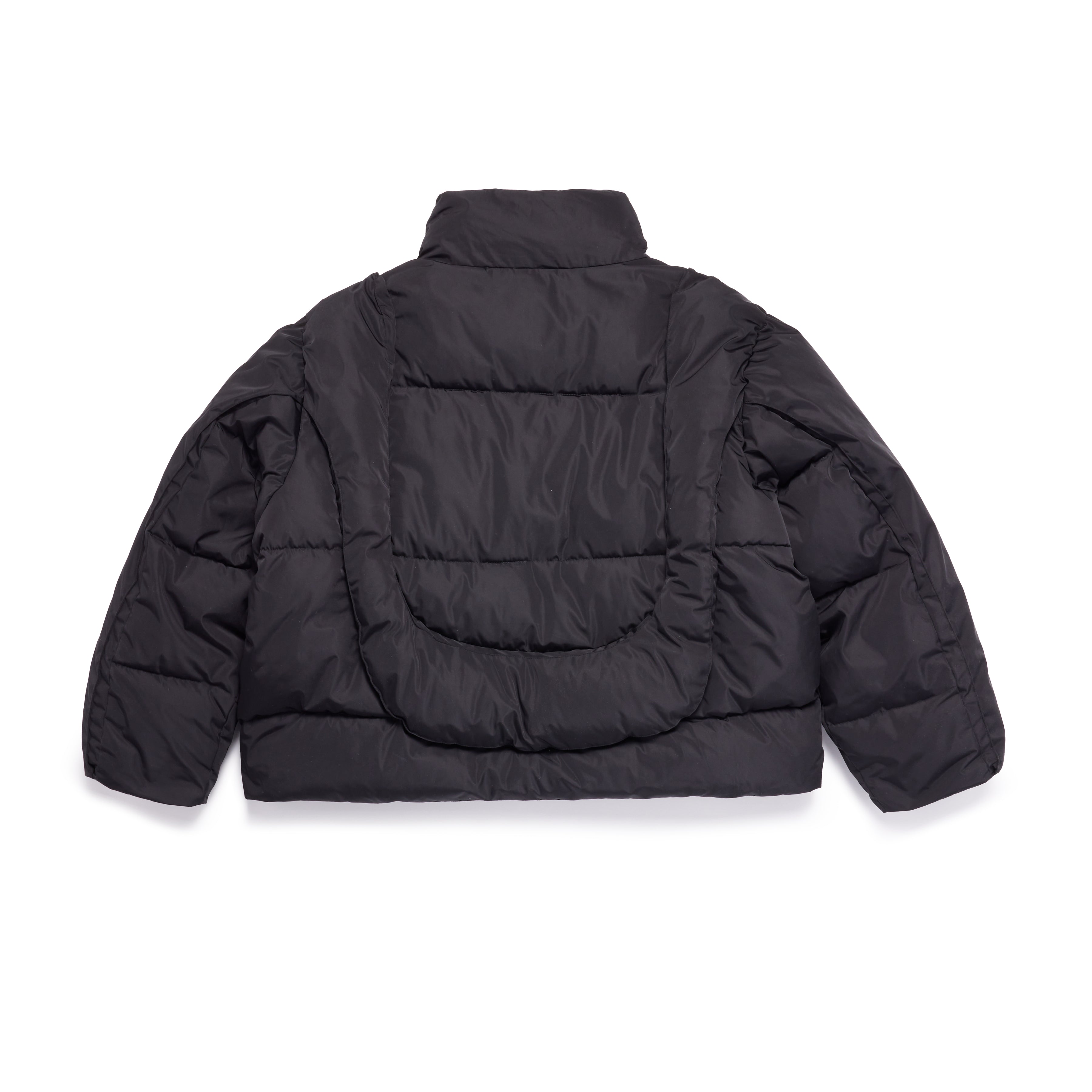 BLACK ACIAN PUFFER