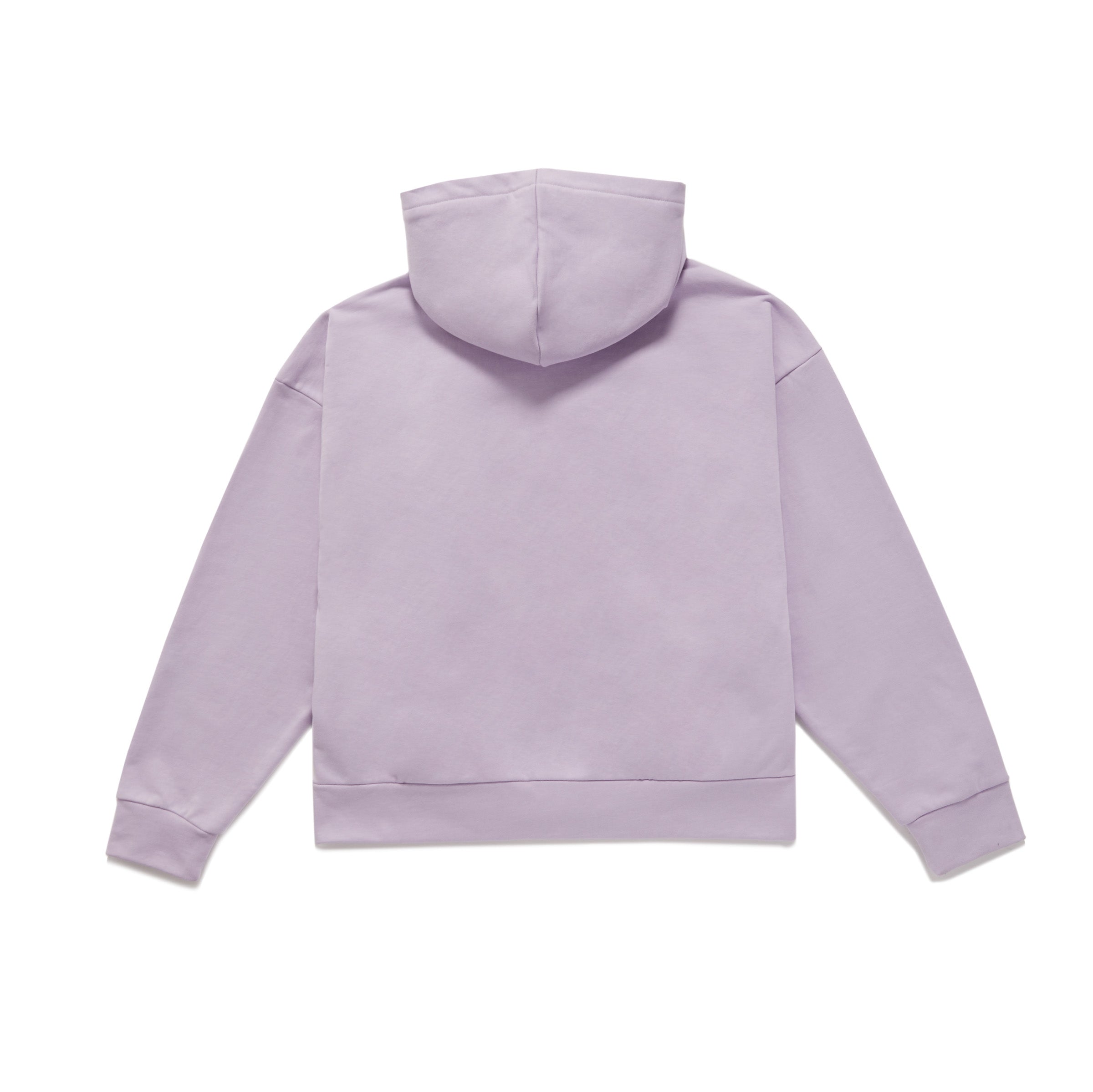 SCRIPT LOGO ZIP HOODIE